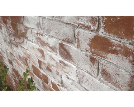 5 علت اصلی برای شوره زدگی در بین انواع آجر نسوز